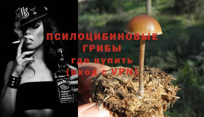 Псилоцибиновые грибы Magic Shrooms  Суоярви 